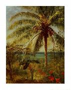 Palm Tree, Nassau by Albert Bierstadt Albert Bierstadt
